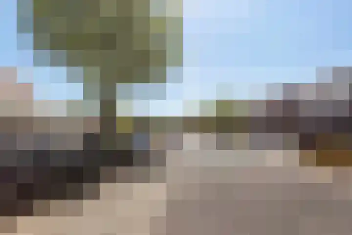 Erve Odinck 14 Hardenberg thumbnail 46