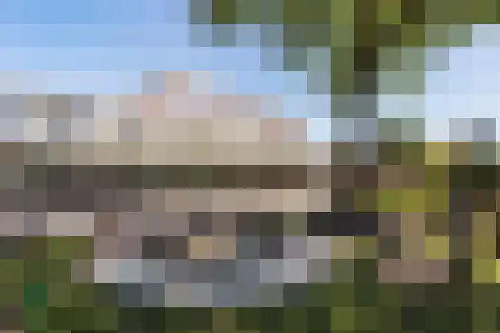 Erve Odinck 14 Hardenberg thumbnail 47