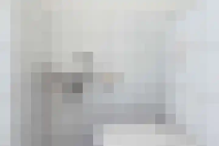 Erve Odinck 14 Hardenberg thumbnail 7