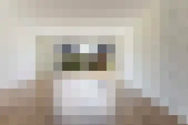 Erve Odinck 14 Hardenberg thumbnail 9
