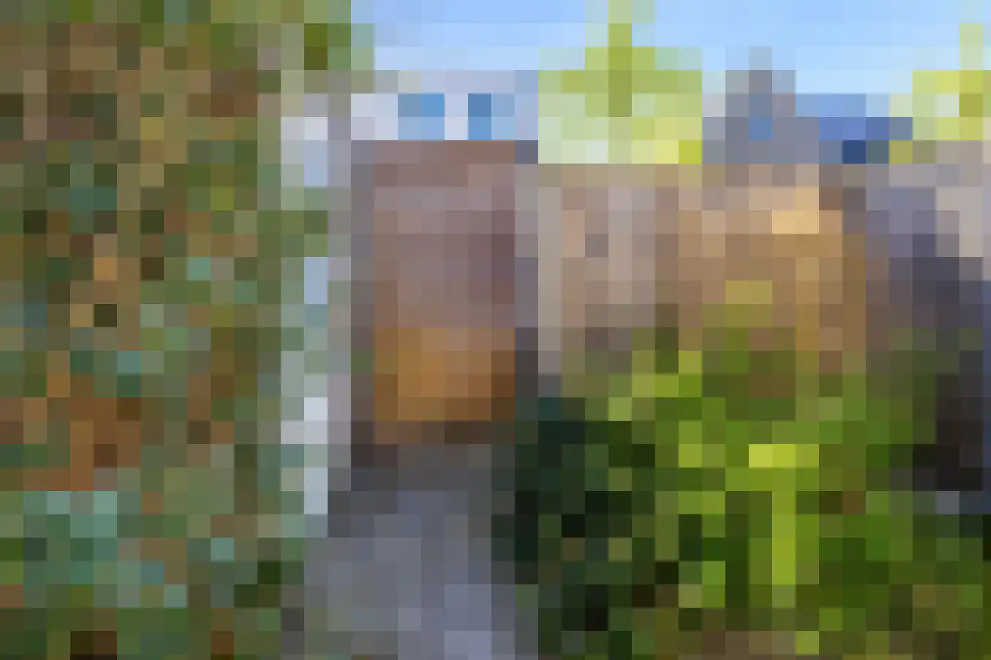 Erve Odinck 8 Hardenberg thumbnail 19
