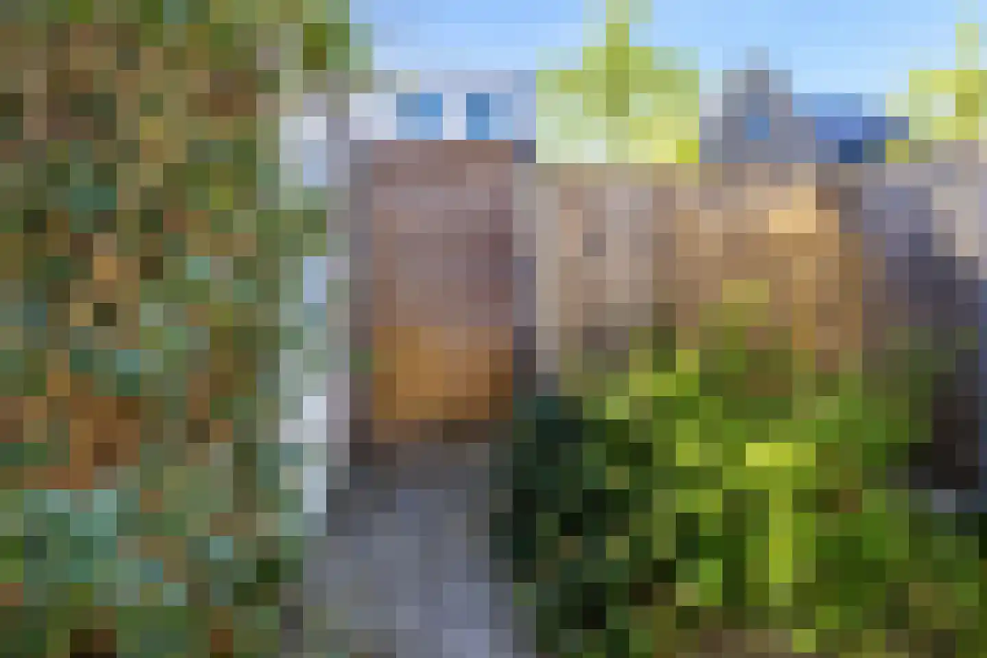 Erve Odinck 8 Hardenberg thumbnail 19