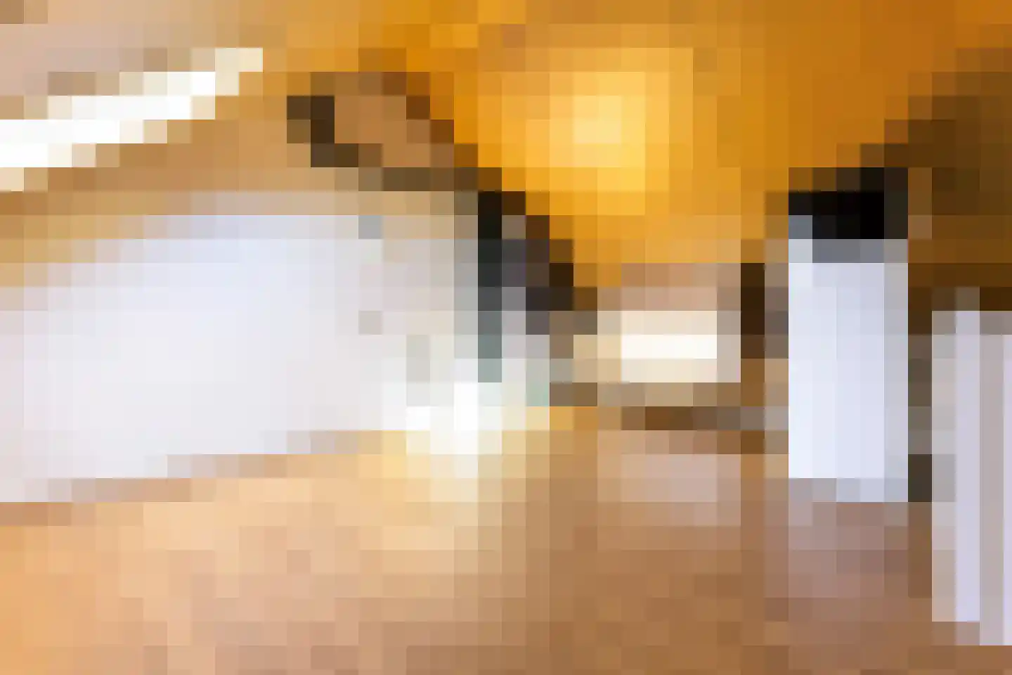 Erve Odinck 8 Hardenberg thumbnail 32