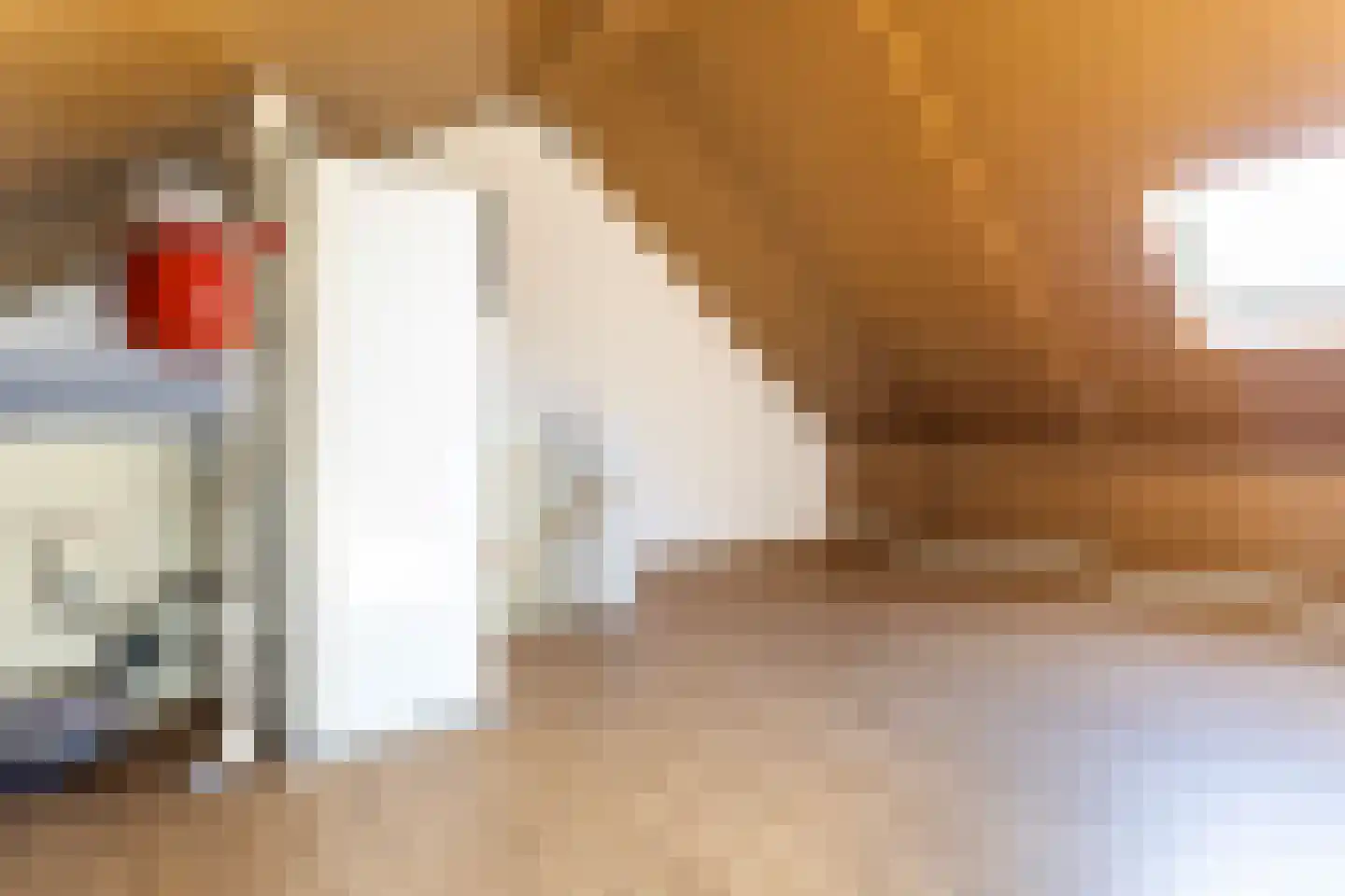 Erve Odinck 8 Hardenberg thumbnail 33