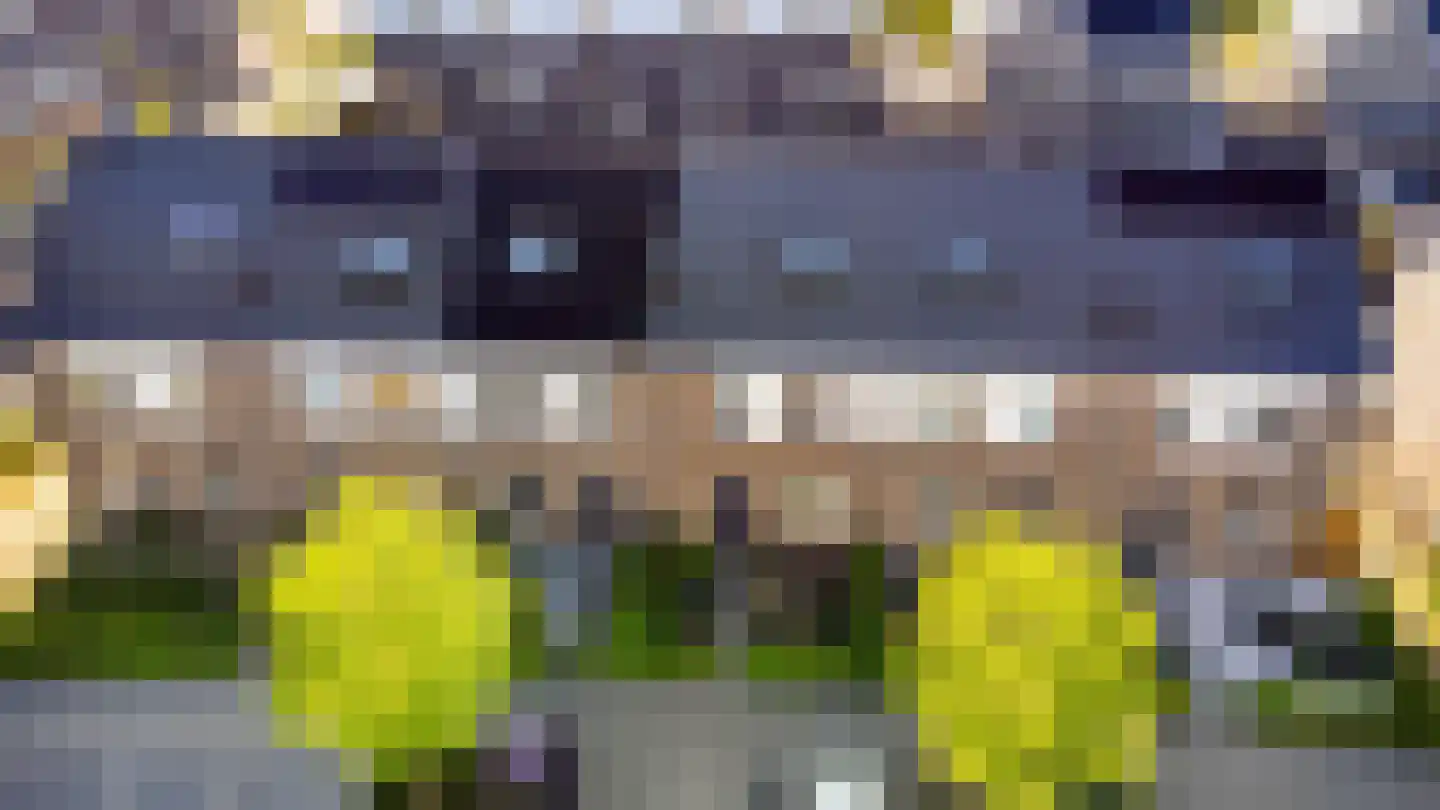 Erve Odinck 8 Hardenberg thumbnail 37