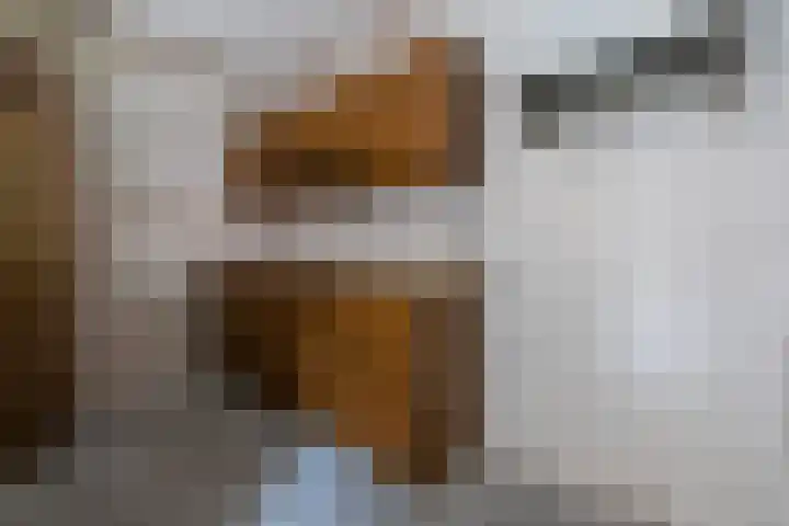 Erve Oldenhof 59 Enter thumbnail 12