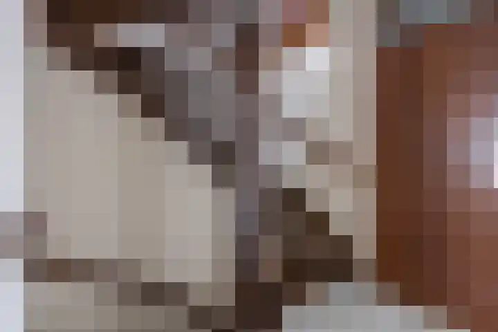 Erve Oldenhof 59 Enter thumbnail 22