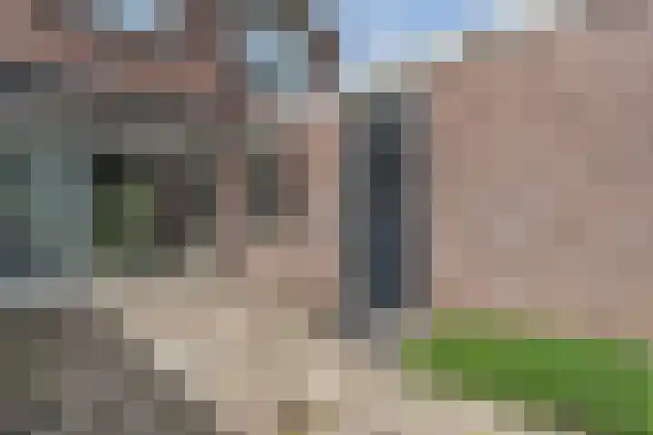 Erve Oldenhof 59 Enter thumbnail 33