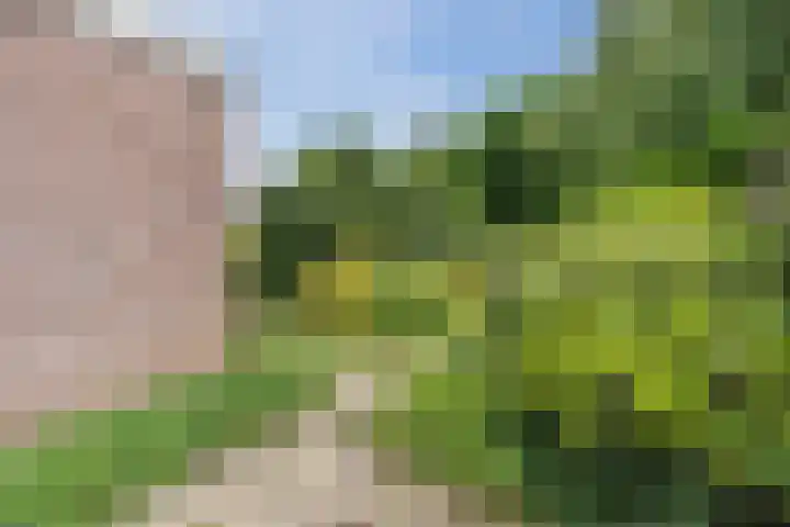 Erve Oldenhof 59 Enter thumbnail 34