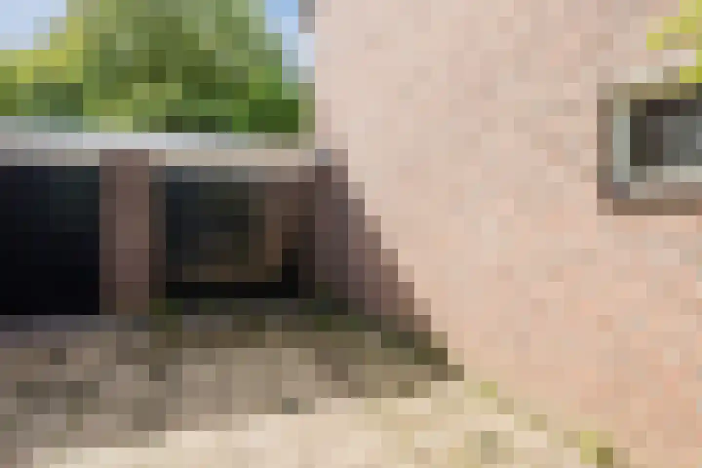 Erve Oldenhof 63 Enter thumbnail 31