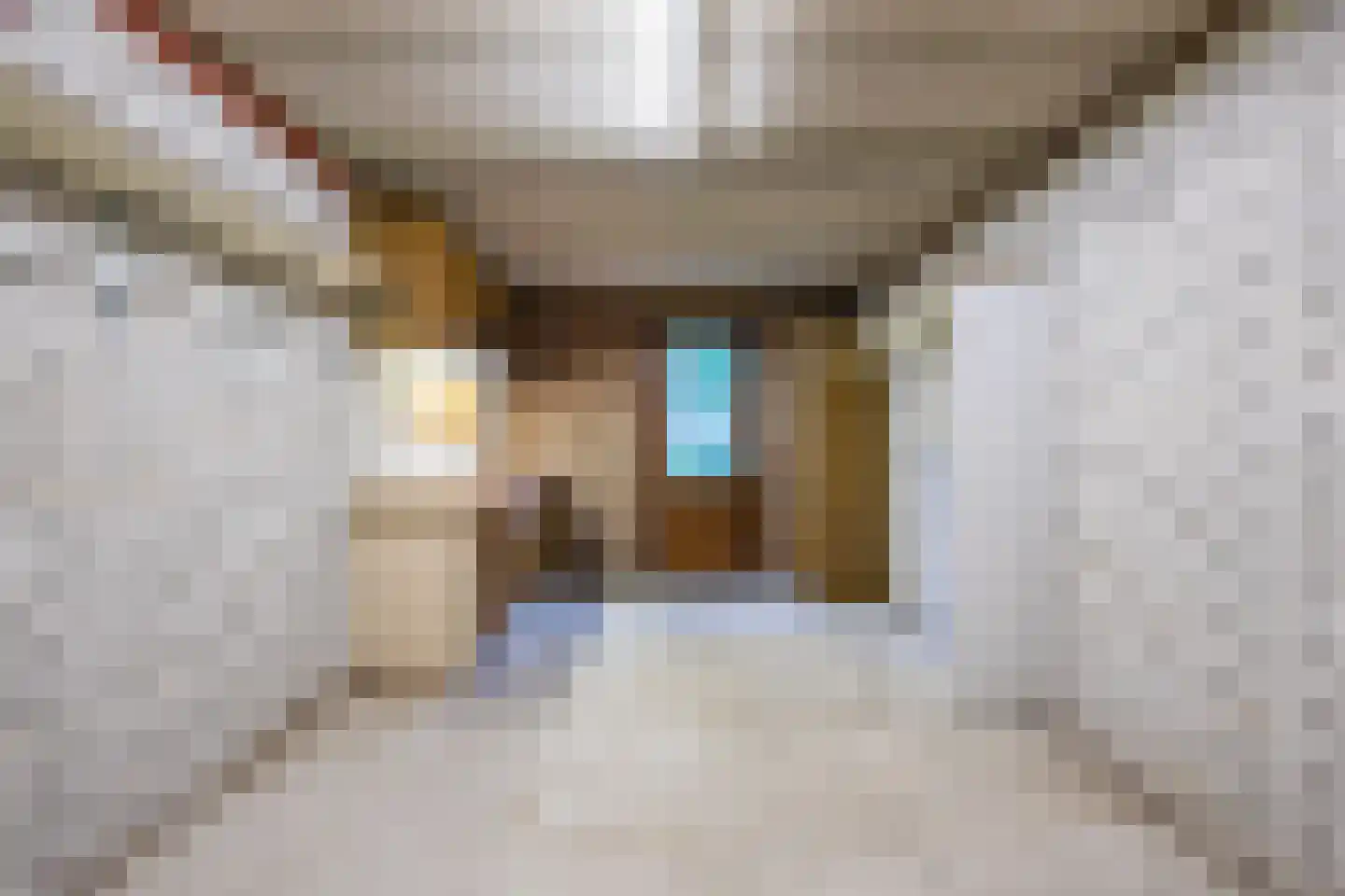 Erve Oldenhof 63 Enter thumbnail 33