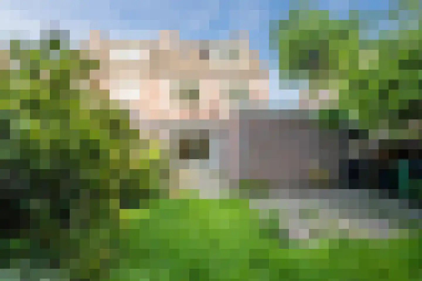 Erve Oldenhof 63 Enter thumbnail 34