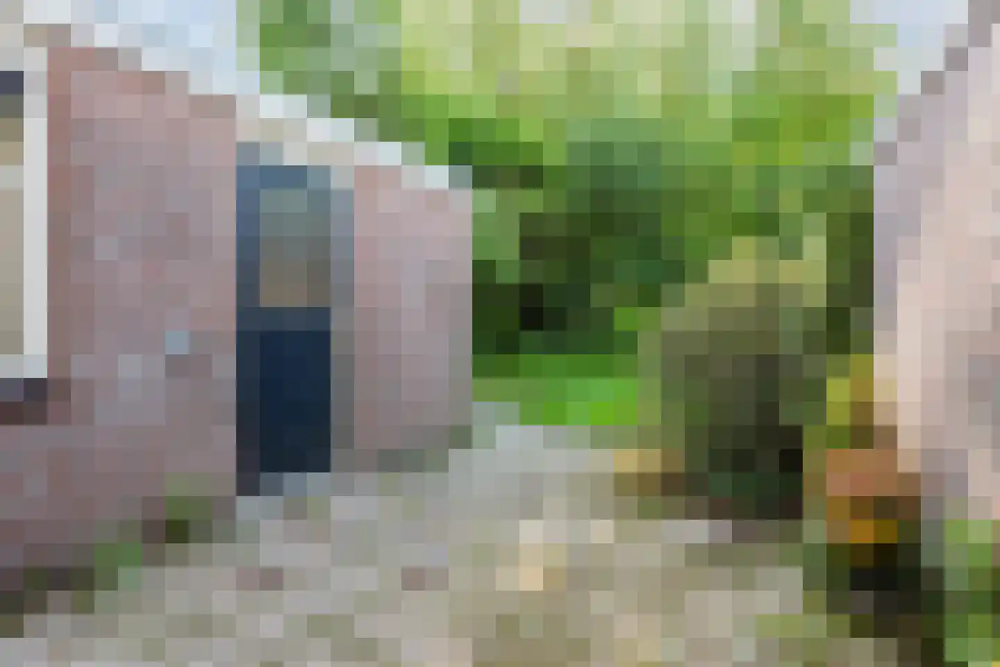 Erve Oldenhof 63 Enter thumbnail 35