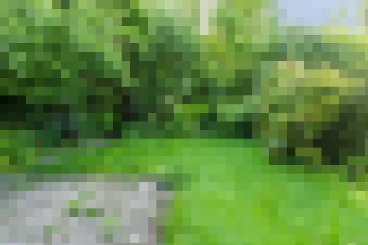 Erve Oldenhof 63 Enter thumbnail 36