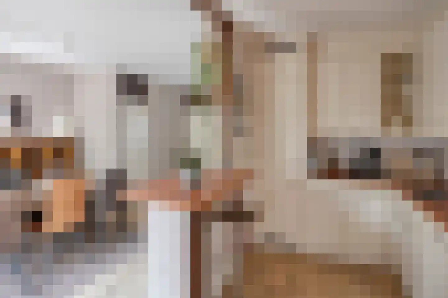 Erve Oldenhof 65 Enter thumbnail 15