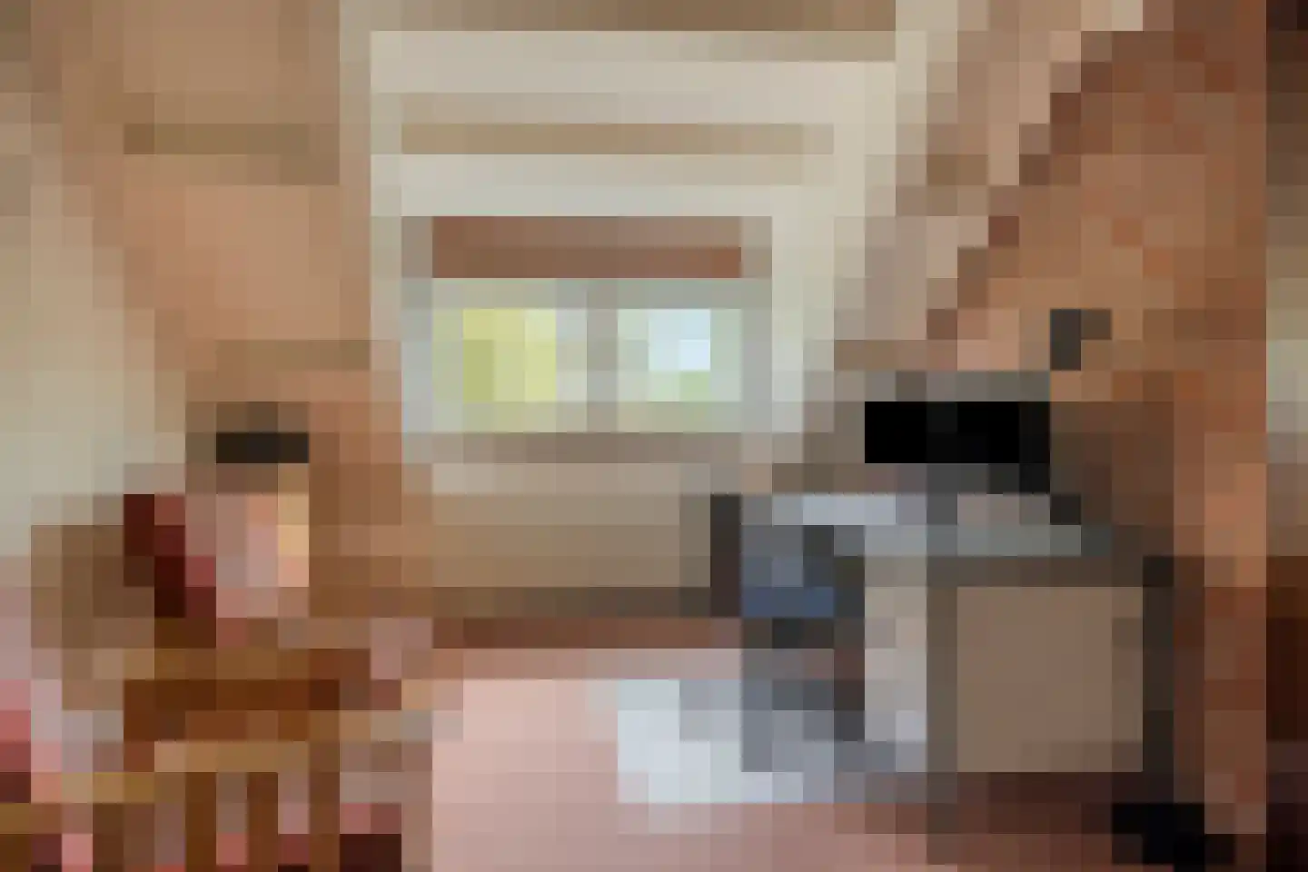 Erve Oldenhof 65 Enter thumbnail 32