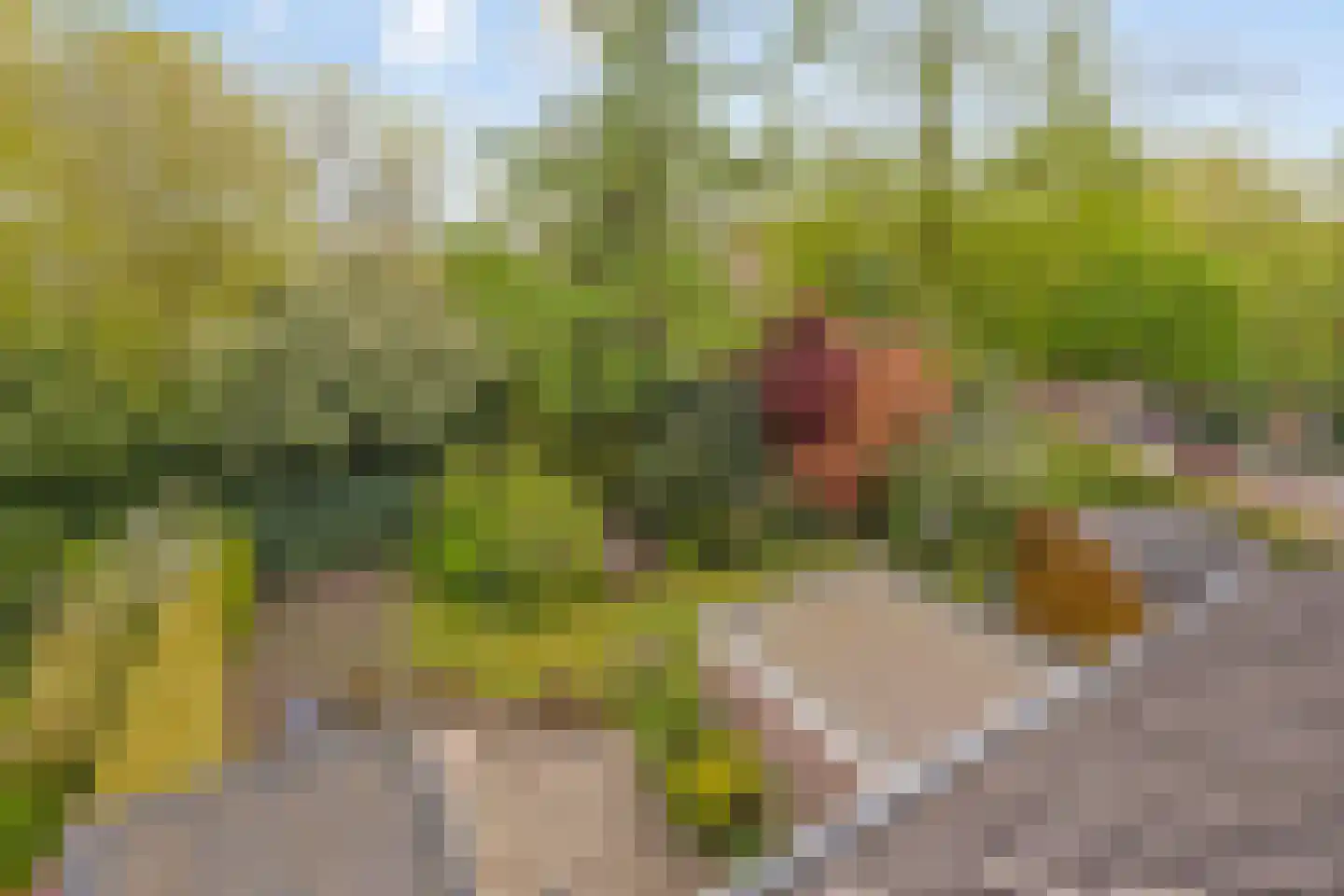 Erve Oldenhof 65 Enter thumbnail 35
