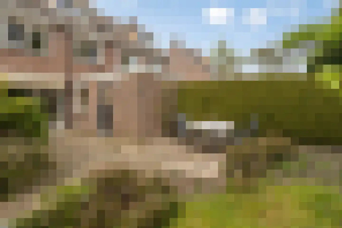 Erve Oldenhof 65 Enter thumbnail 37