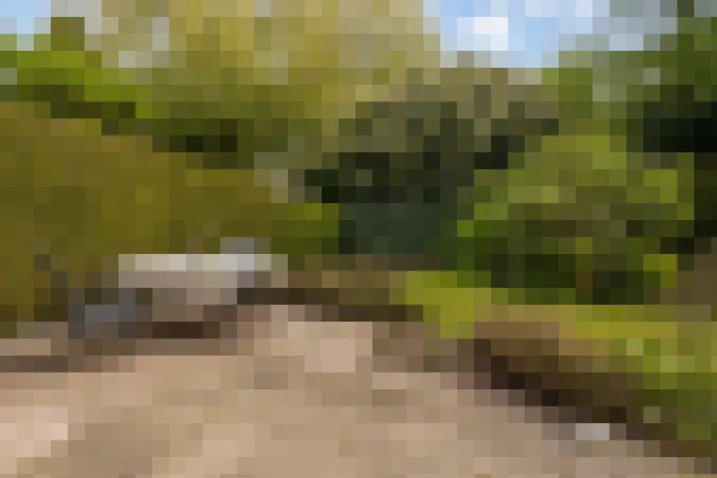 Erve Oldenhof 65 Enter thumbnail 38