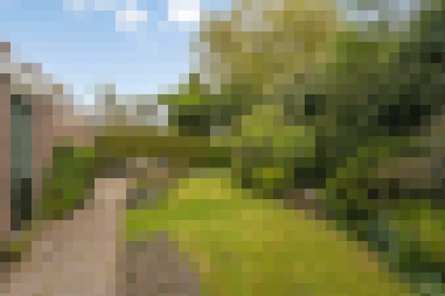 Erve Oldenhof 65 Enter thumbnail 41