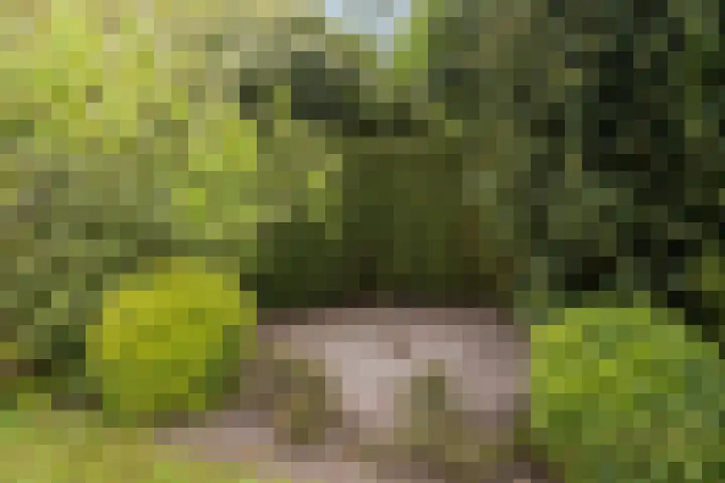 Erve Oldenhof 65 Enter thumbnail 42