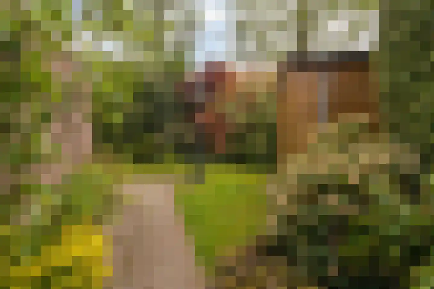 Erve Oldenhof 65 Enter thumbnail 43