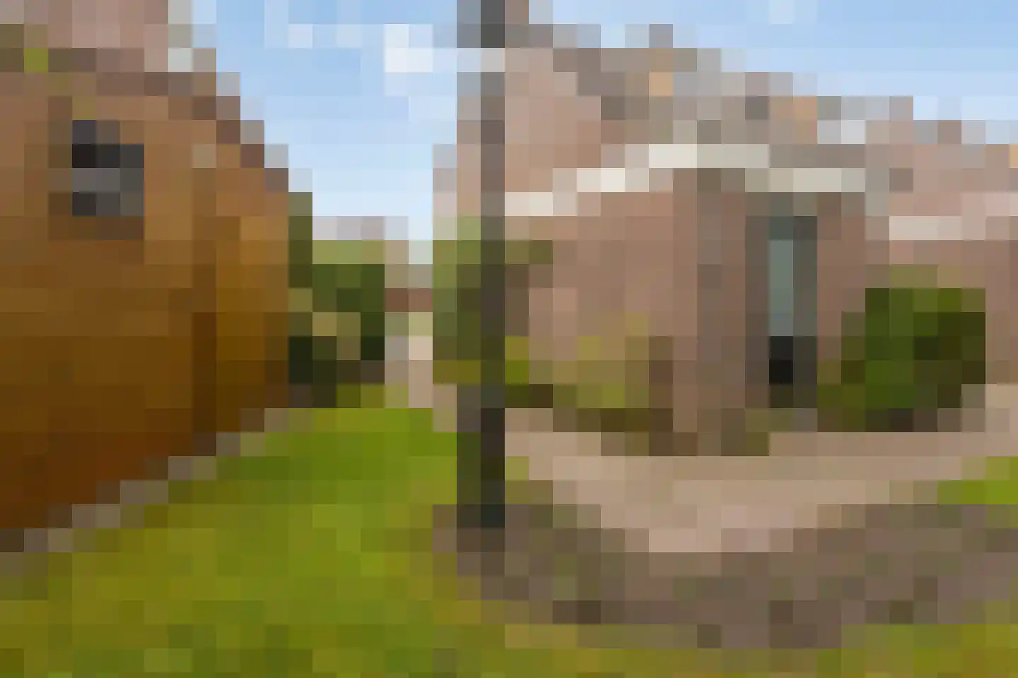 Erve Oldenhof 65 Enter thumbnail 44