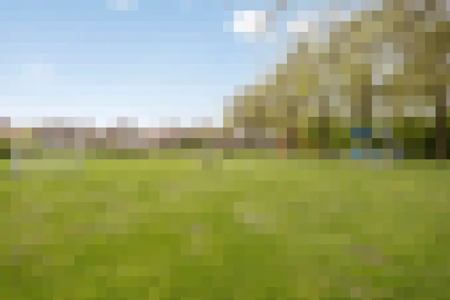 Erve Oldenhof 65 Enter thumbnail 53