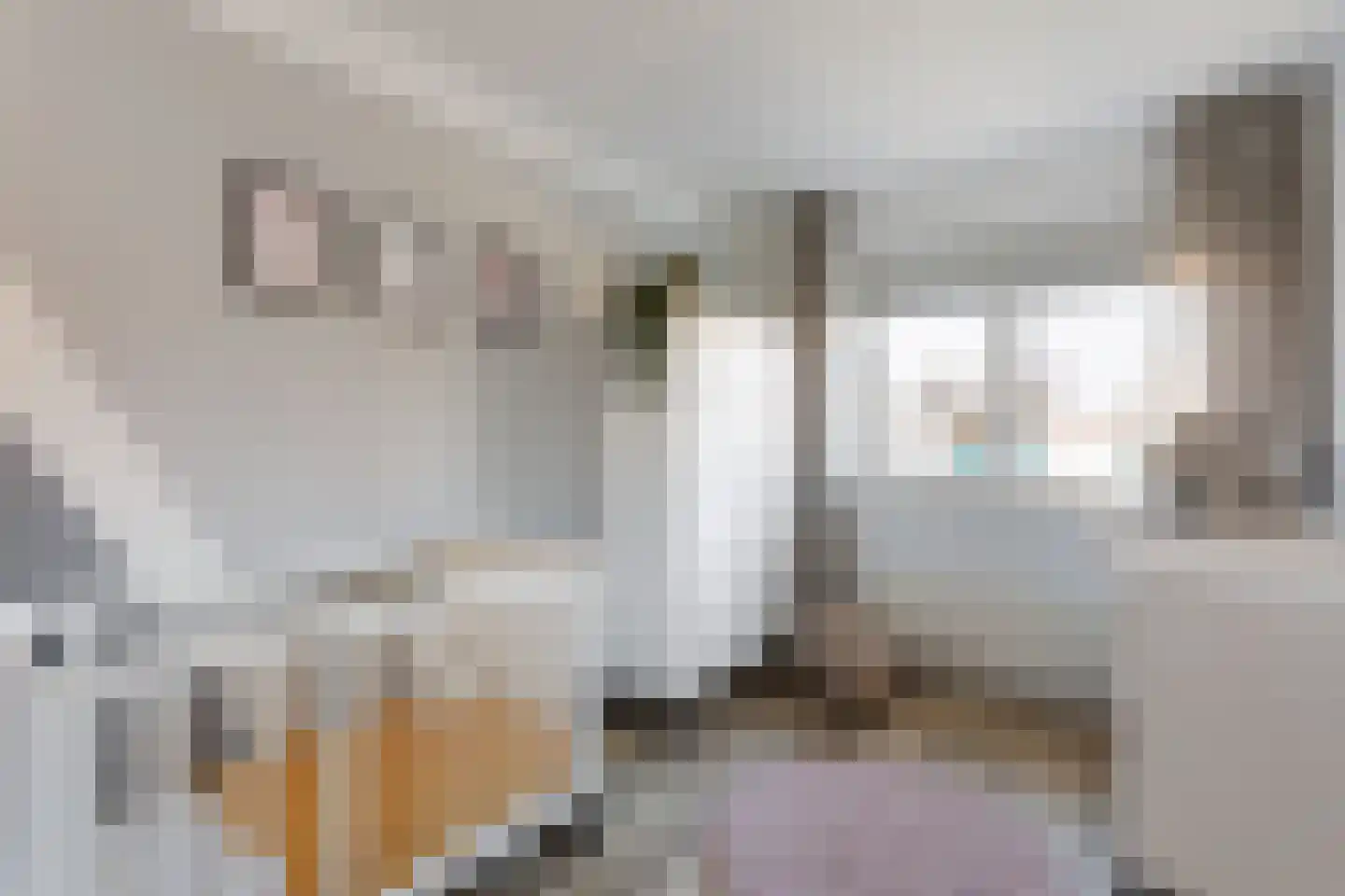 Erve Oonk 8 Oldenzaal thumbnail 12