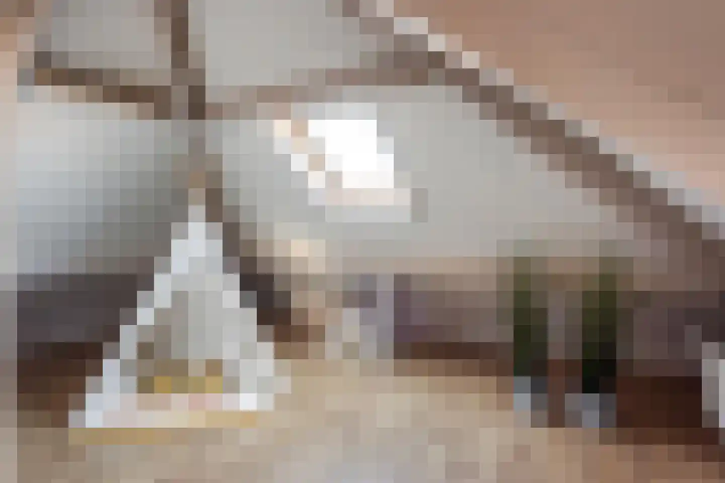 Erve Oonk 8 Oldenzaal thumbnail 13