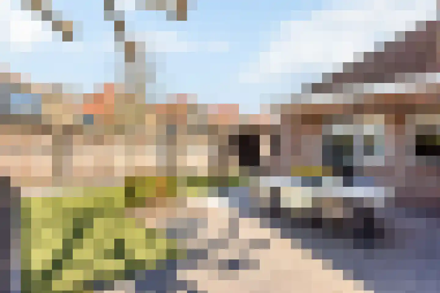 Erve Oonk 8 Oldenzaal thumbnail 16