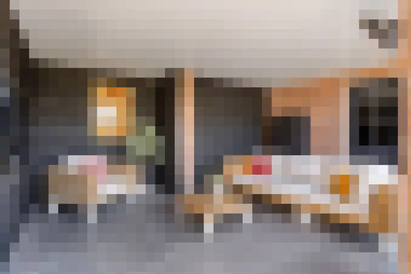Erve Oonk 8 Oldenzaal thumbnail 17
