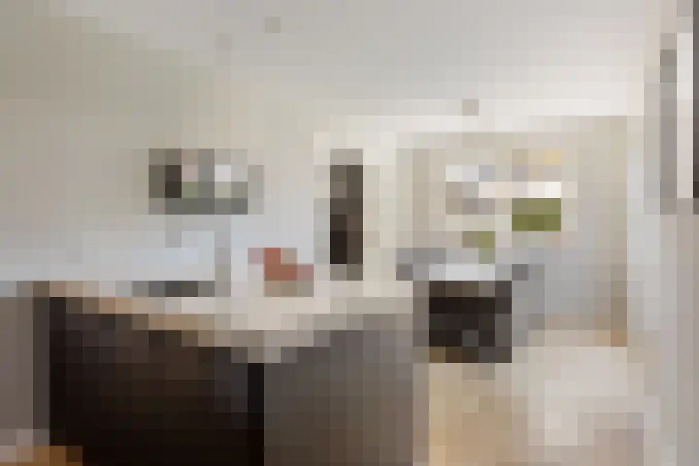 Erve Oonk 8 Oldenzaal thumbnail 7