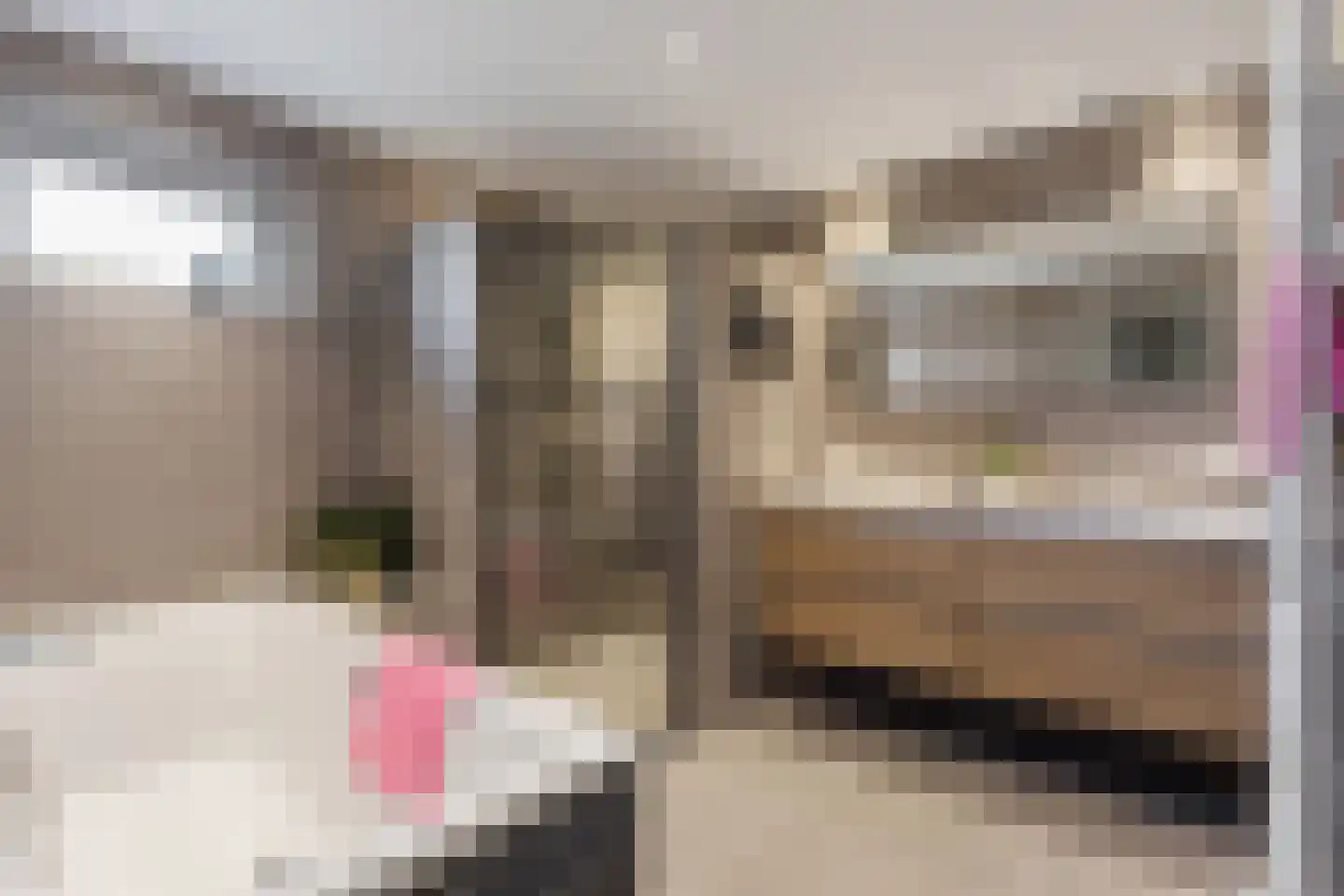 Erve Oonk 8 Oldenzaal thumbnail 8