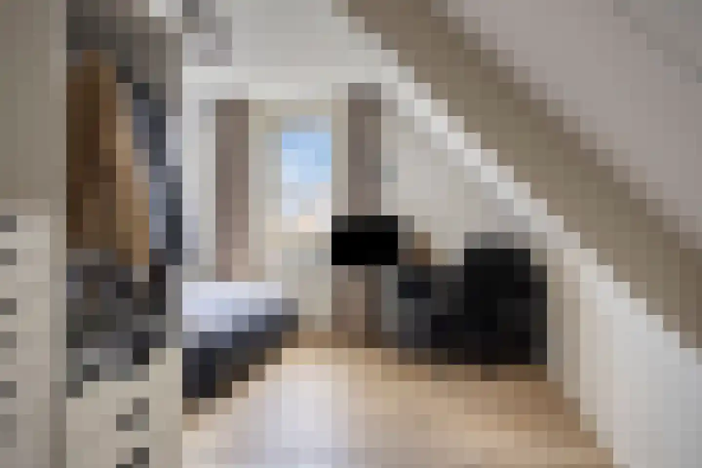 Erve Oonk 9 Oldenzaal thumbnail 24