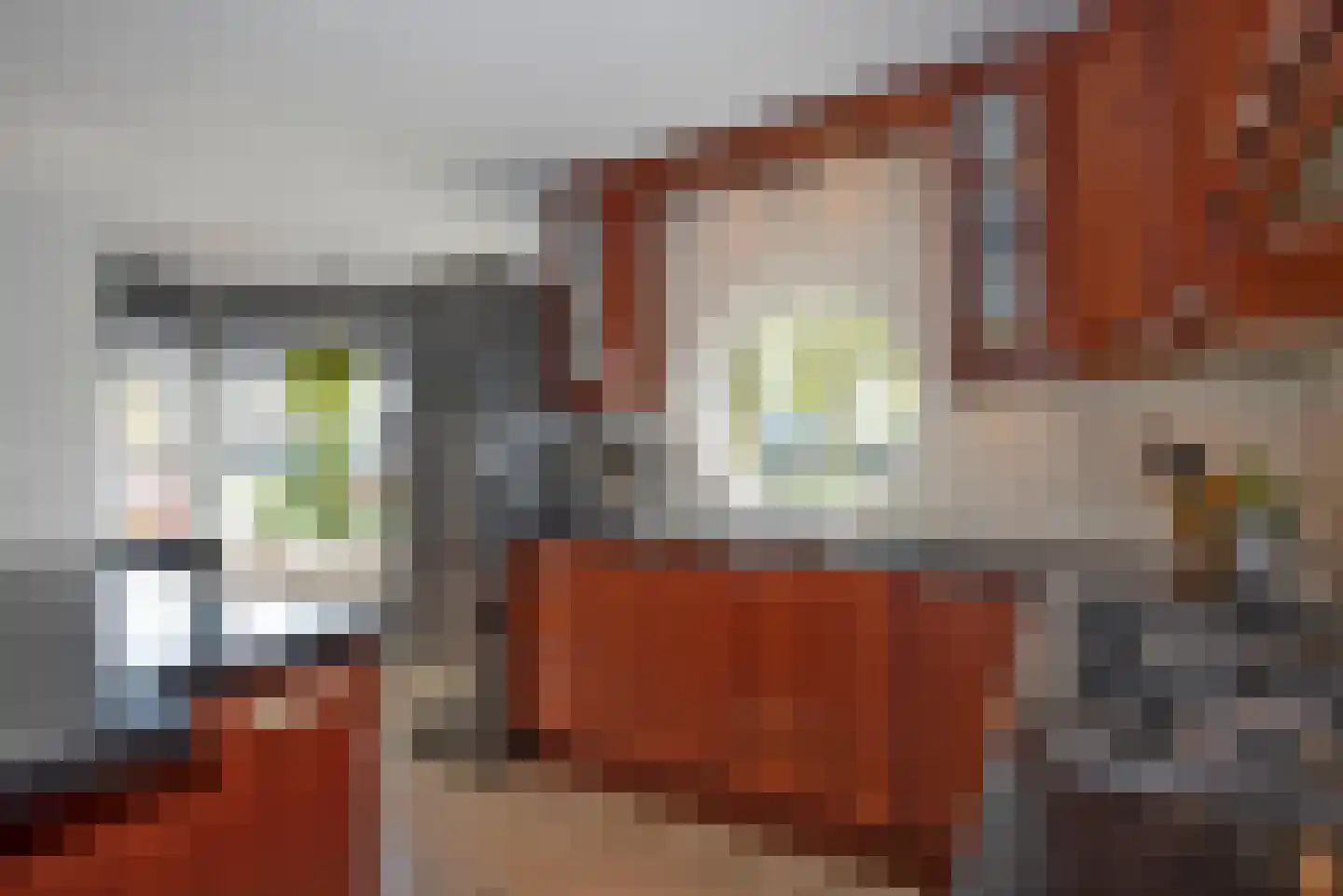 Erve Oosterveld 23 Zenderen thumbnail 15