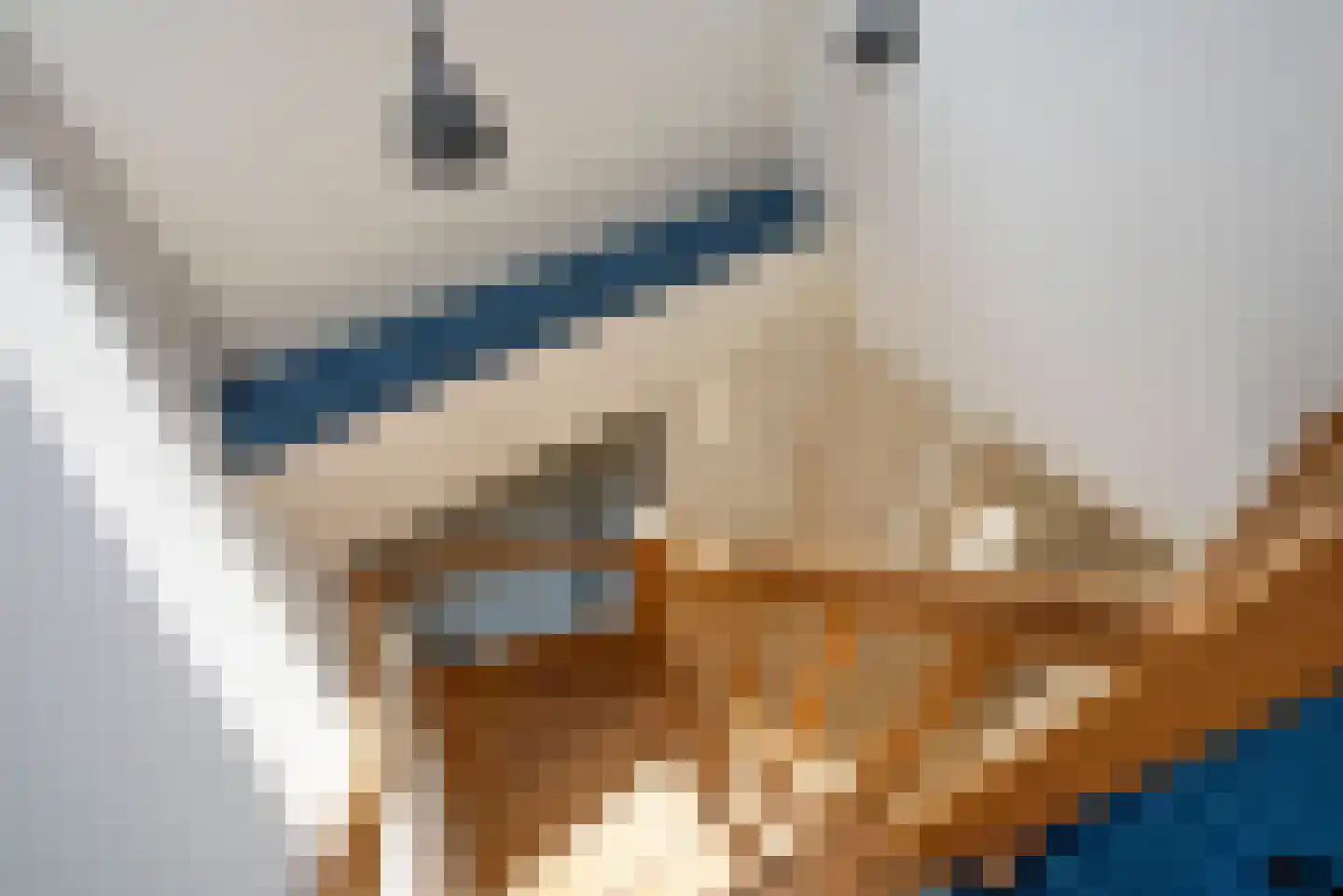 Erve Oosterveld 23 Zenderen thumbnail 26