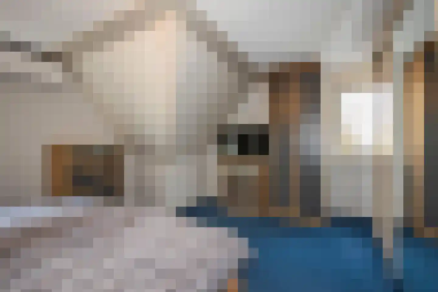 Erve Oosterveld 23 Zenderen thumbnail 38