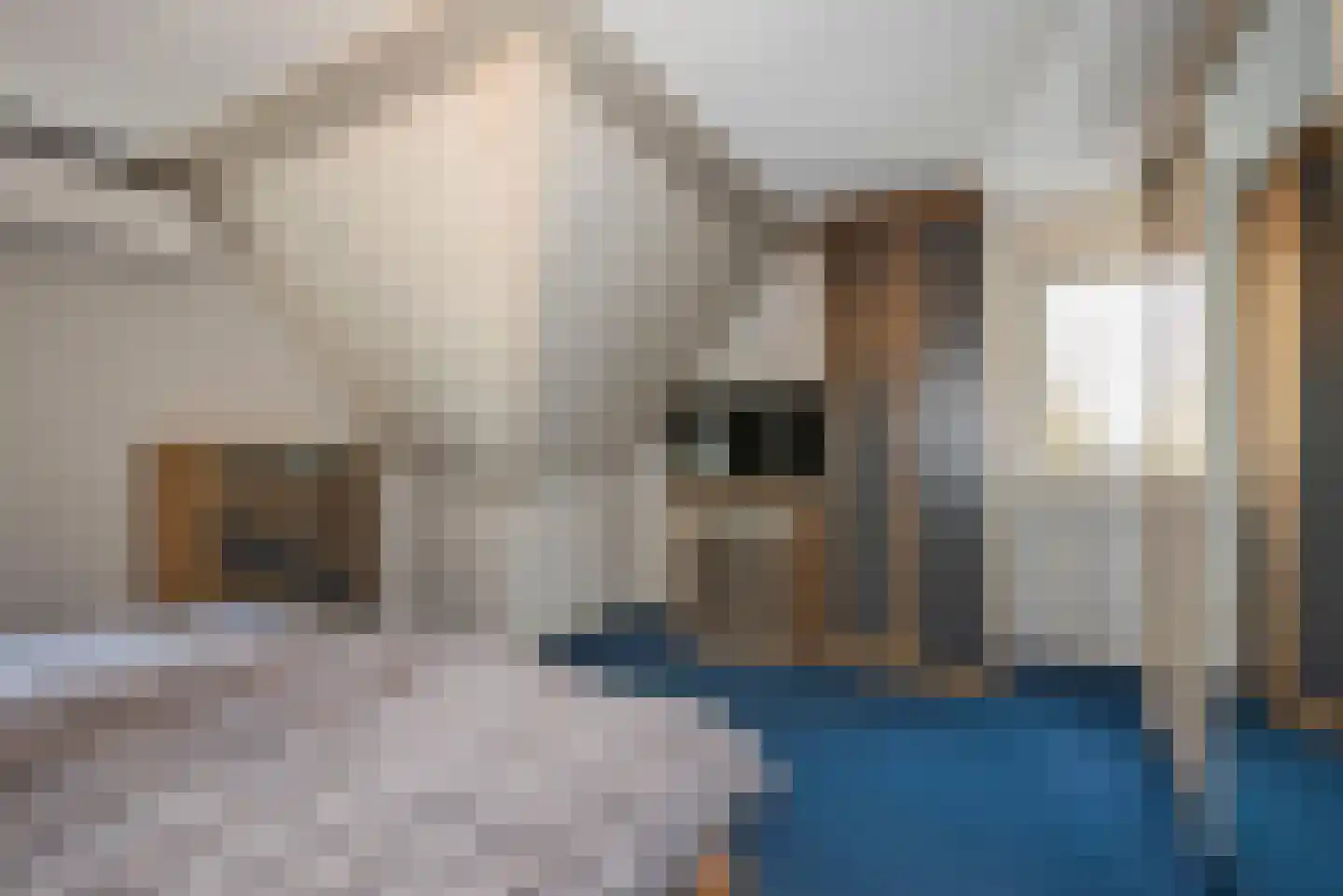 Erve Oosterveld 23 Zenderen thumbnail 39