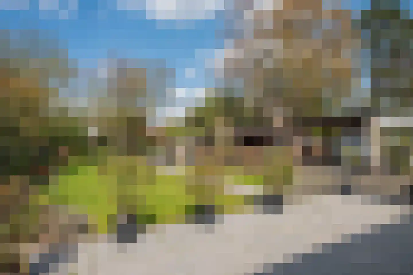 Erve Oosterveld 23 Zenderen thumbnail 45