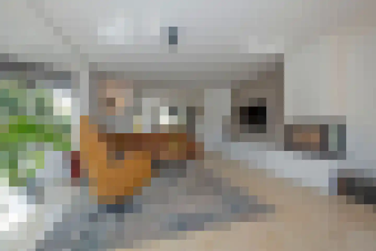 Erve Oosterveld 23 Zenderen thumbnail 9