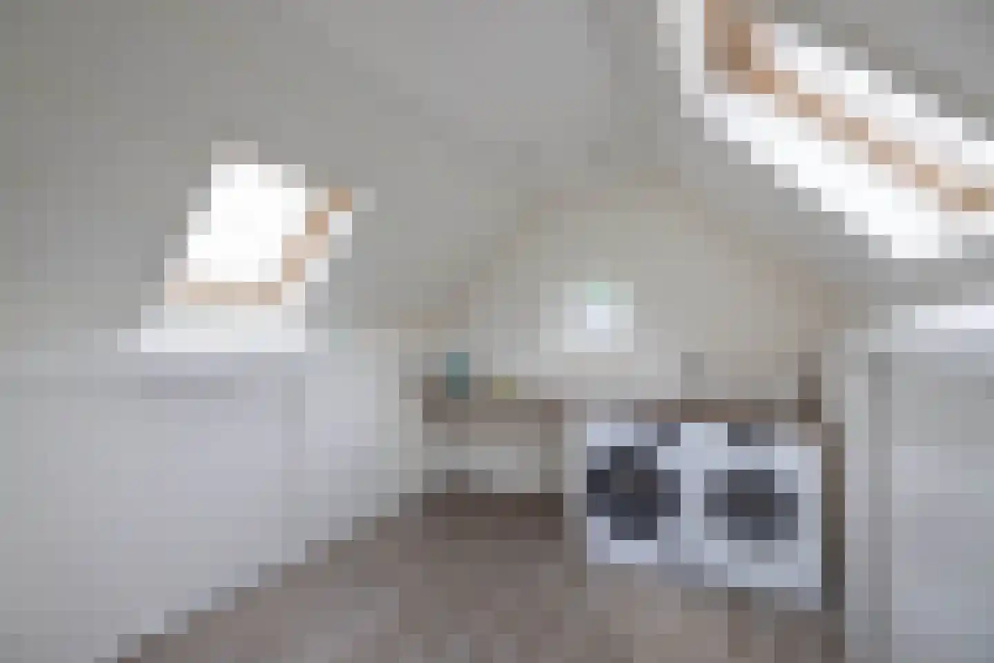 Erve Oosterveld 8 Zenderen thumbnail 27