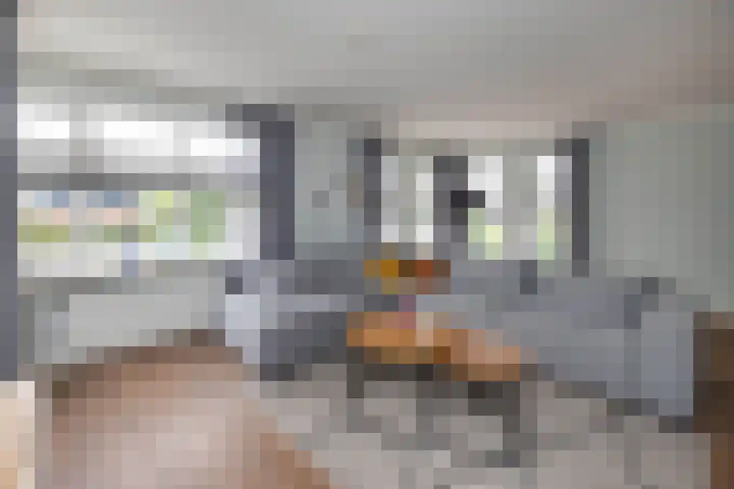 Erve Oosterveld 8 Zenderen thumbnail 4