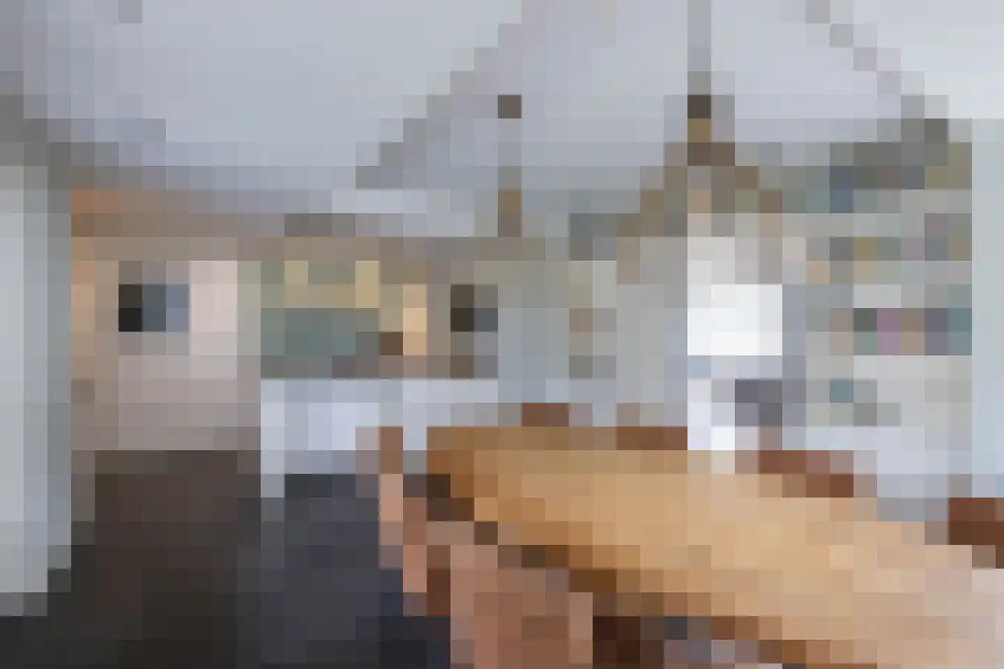 Erve Oosterveld 8 Zenderen thumbnail 9