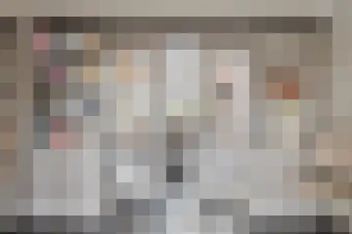 Erve Roerinck 62 Enter thumbnail 14