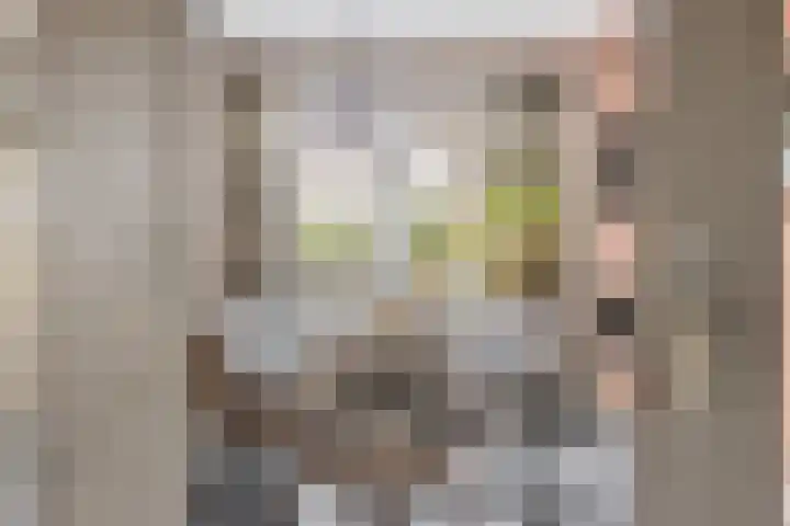 Erve Roerinck 62 Enter thumbnail 15
