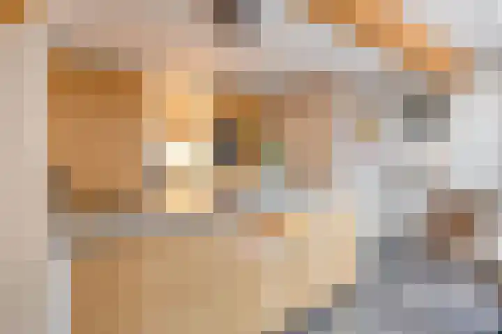 Erve Roerinck 62 Enter thumbnail 21