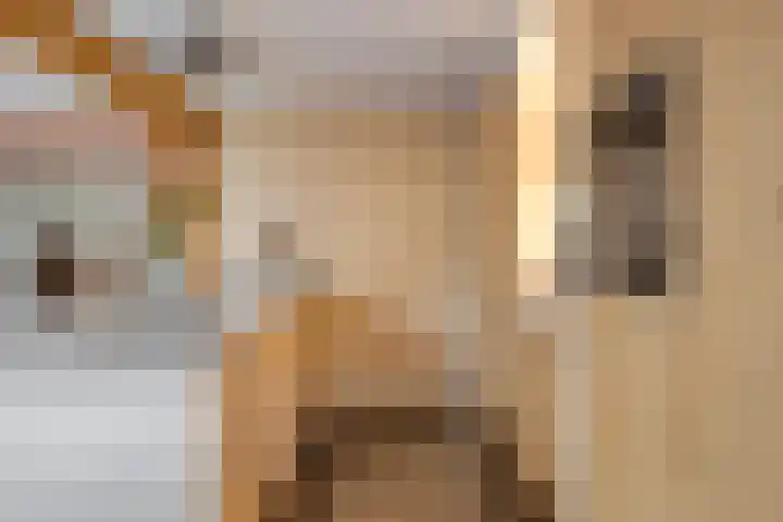 Erve Roerinck 62 Enter thumbnail 23