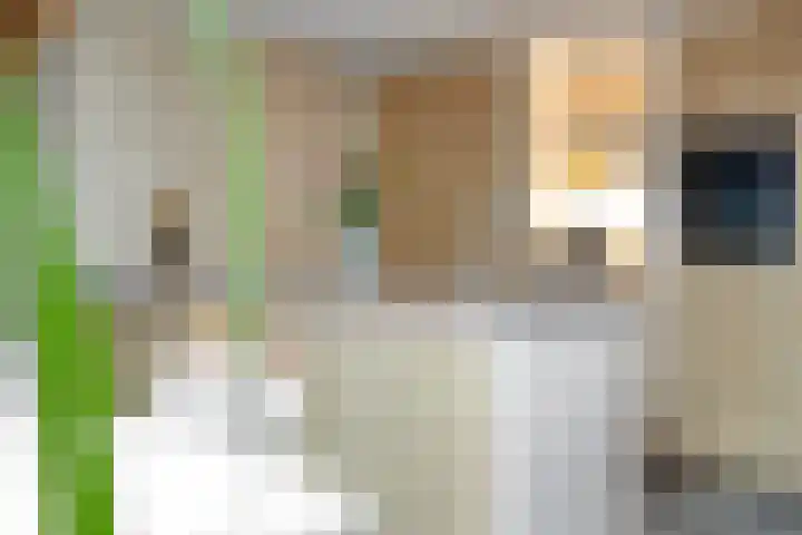 Erve Roerinck 62 Enter thumbnail 25