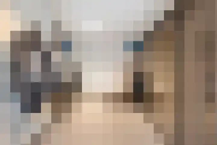 Erve Roerinck 62 Enter thumbnail 29